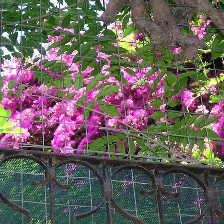 Bed & Breakfast Malennio 3*