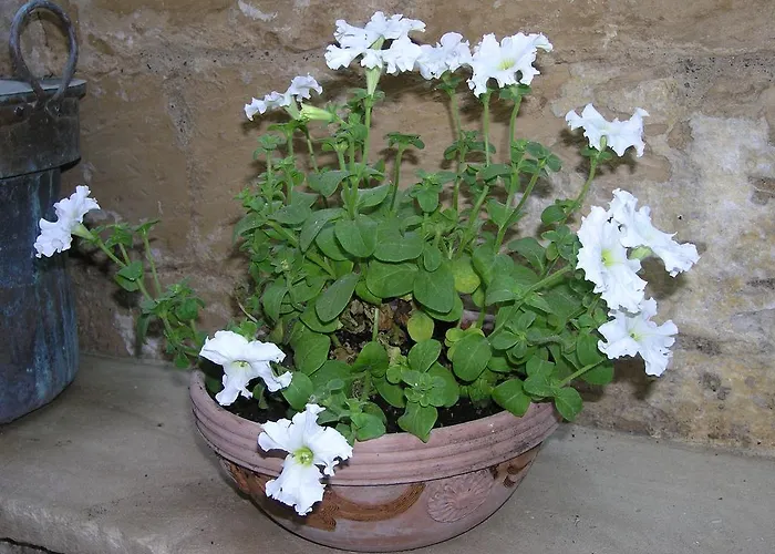 Malennio 3* レッチェ