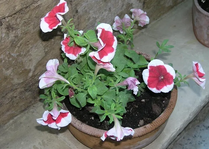 Malennio 3* レッチェ