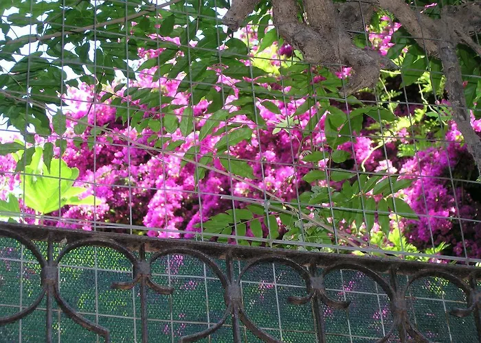 Bed & Breakfast Malennio 3*